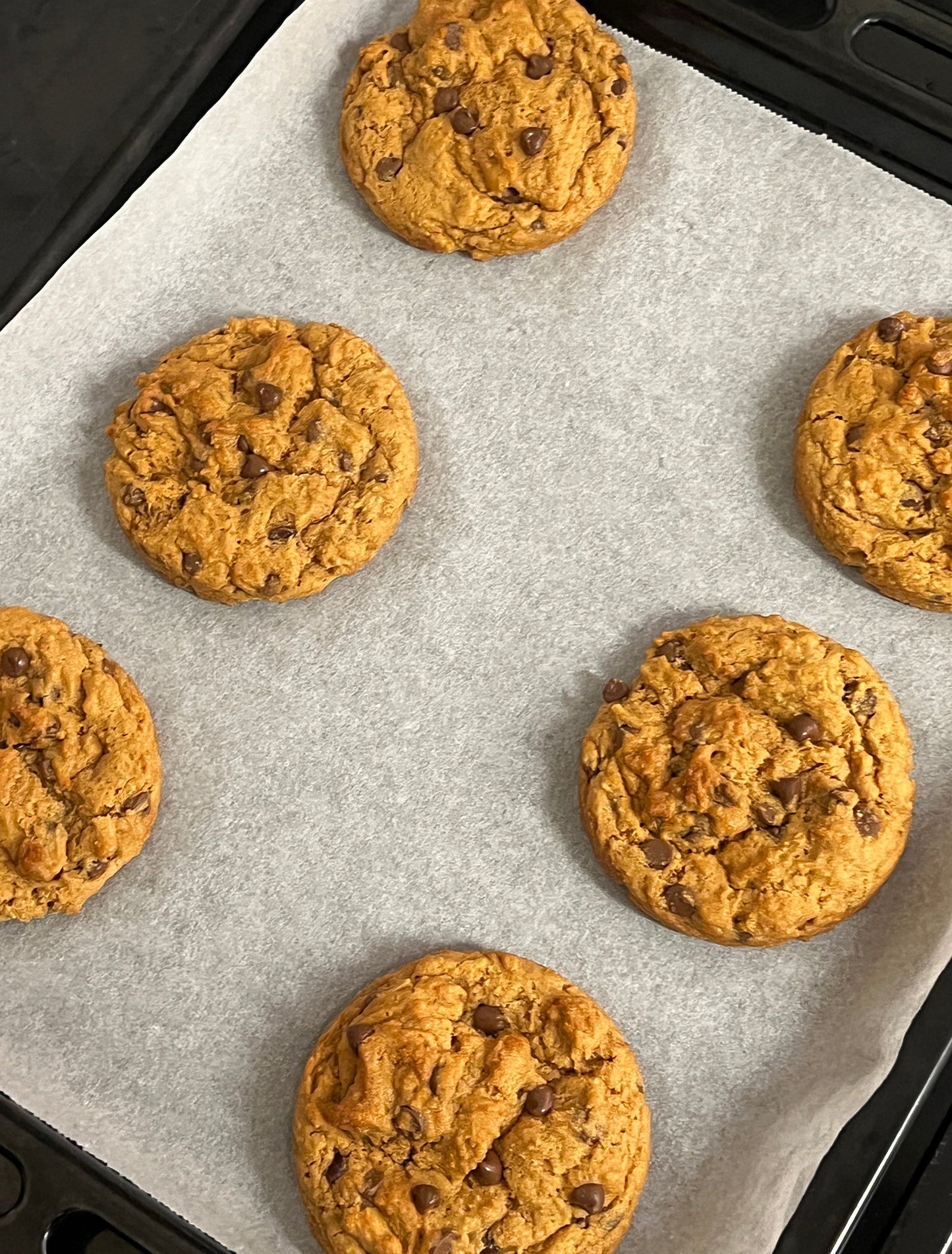 Chocolate Chip Cookie