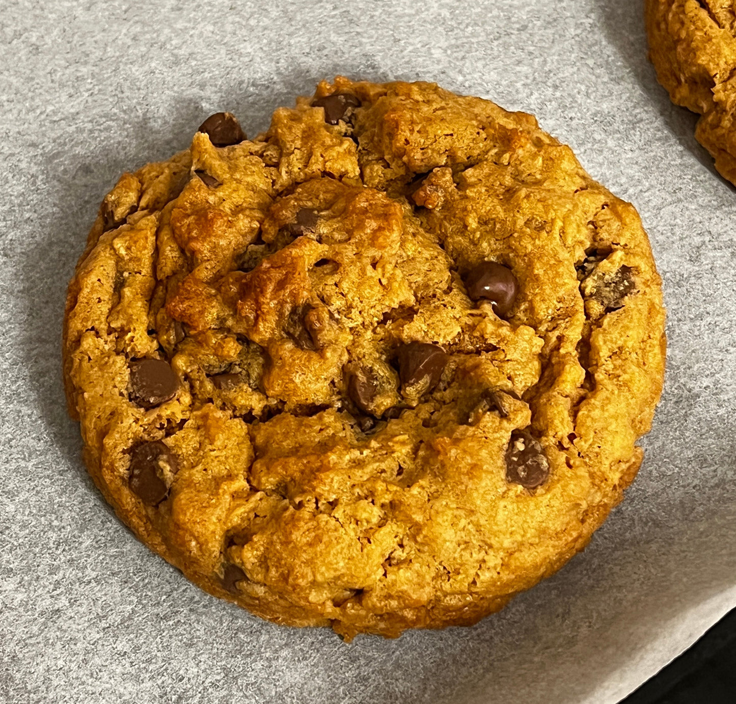Chocolate Chip Cookie