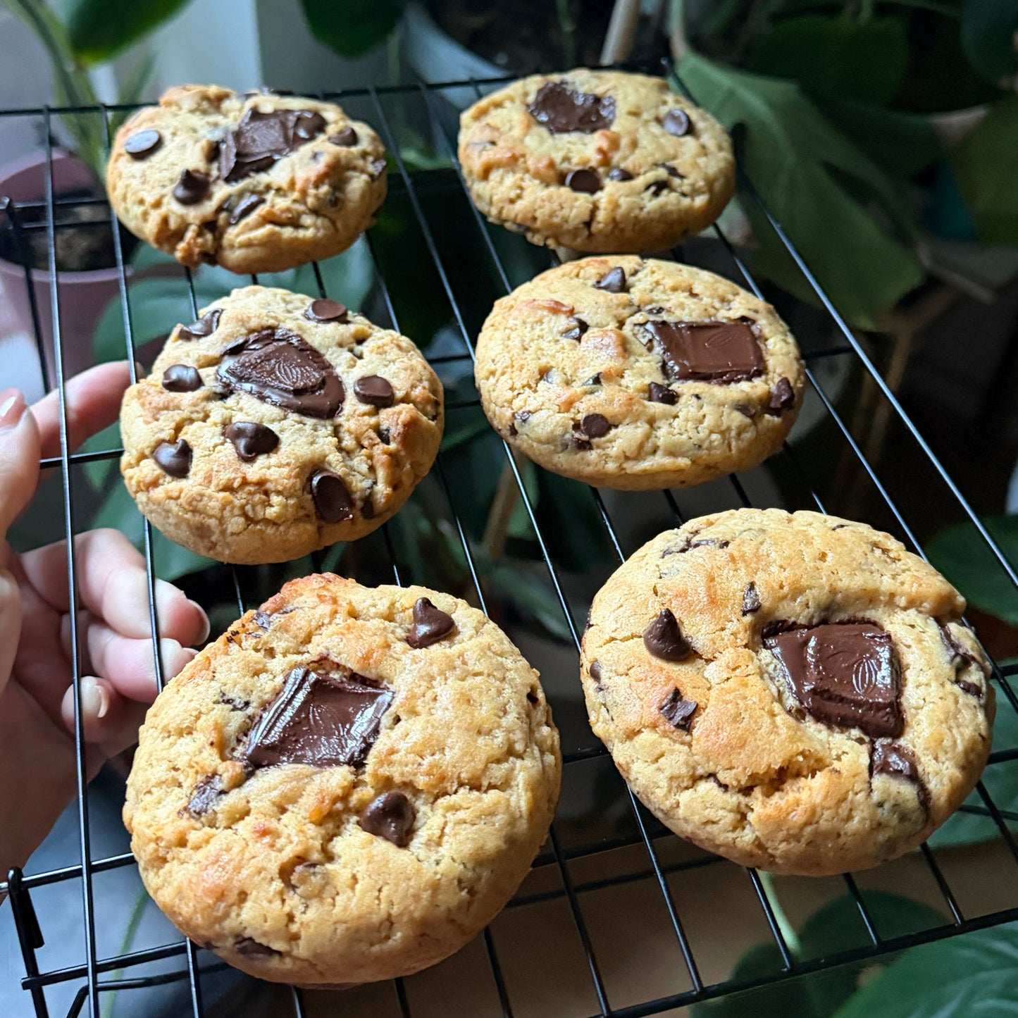Miso Dark Chocolate Cookie
